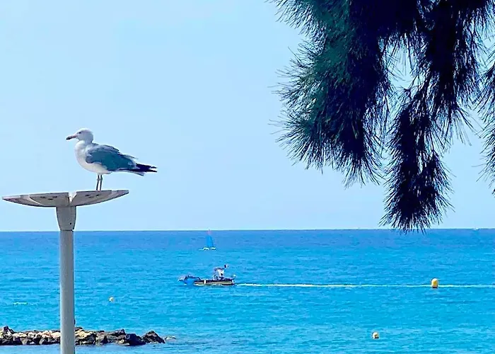 Apartamento Sur La Plage, Le Royal