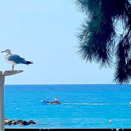 Apartment Sur La Plage, Le Royal